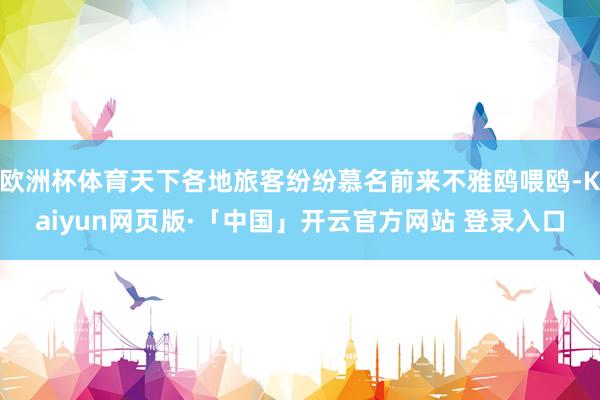 欧洲杯体育天下各地旅客纷纷慕名前来不雅鸥喂鸥-Kaiyun网页版·「中国」开云官方网站 登录入口