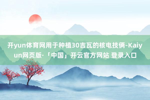 开yun体育网用于种植30吉瓦的核电技俩-Kaiyun网页版·「中国」开云官方网站 登录入口